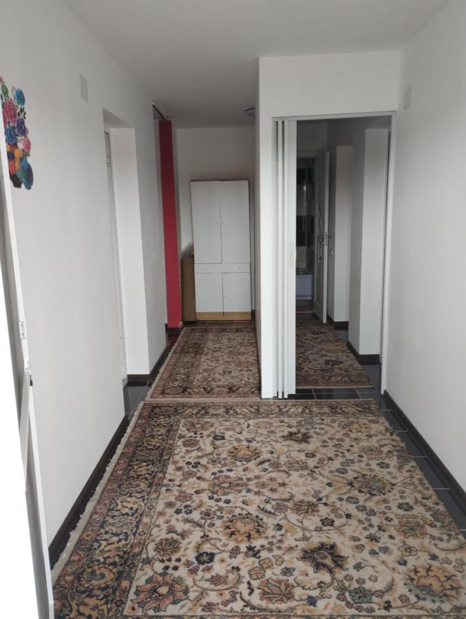Casa Doina Hotel Douăzeci şi Trei August Exterior foto