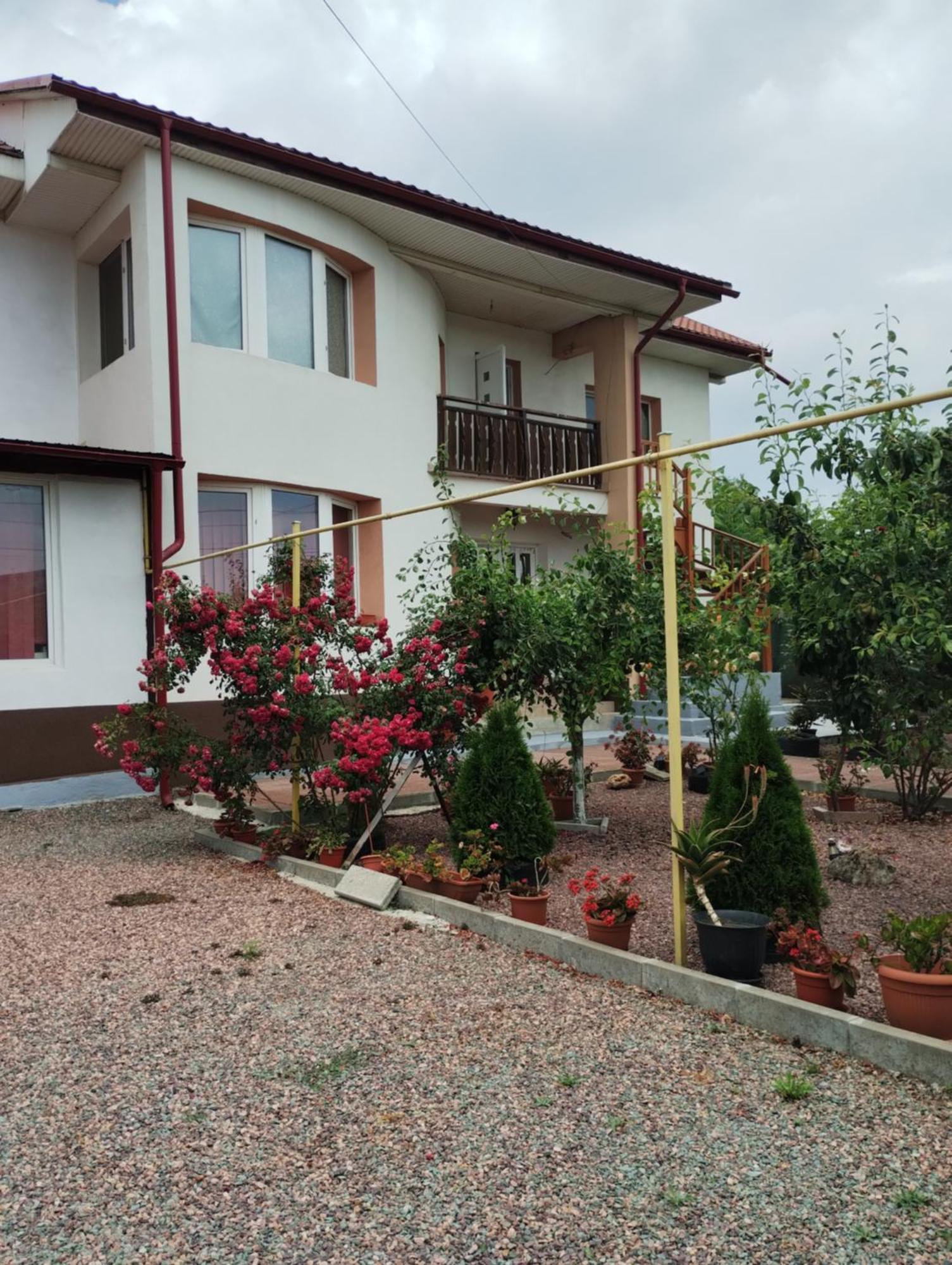 Casa Doina Hotel Douăzeci şi Trei August Exterior foto